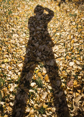 vertical image of a shadow of a person taking a picture with camera with a background of autumn leaves.