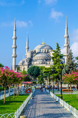 View over the blue mosque in Istanbul.