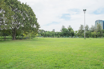 green grass field and green fresh tree .