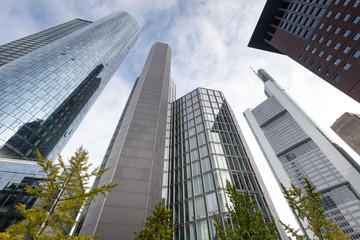 Obraz premium frankfurt germany skyscrapers