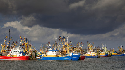 Fototapeta premium Dutch Fishing fleet in Lauwersoog harbor