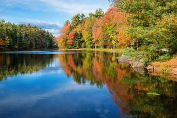 Tree reflections in pond on sunny autumn day in New England