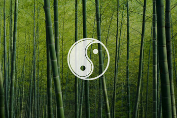 Yin Yang Balance Contrast Opposite Religion Culture Concept © Rawpixel.com