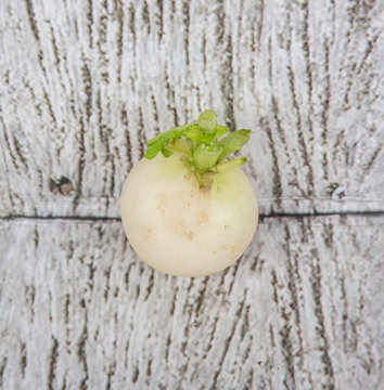 Small white radish vegetable over wooden background