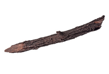 Tree branch