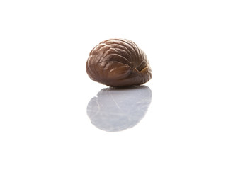 Roasted whole peeled chestnut over white background
