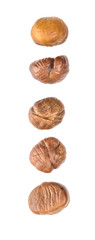 Roasted whole peeled chestnut over white background