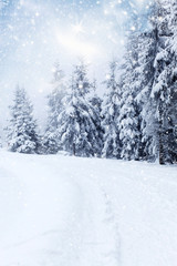 Obraz premium Christmas background with snowy fir trees