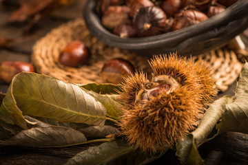 Roasted chestnuts and leaves