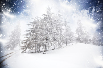 Christmas background with snowy fir trees
