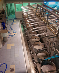  Interior view of a cheese diary in Gruyere