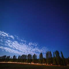 Stars in the night sky on a background city lighting. 