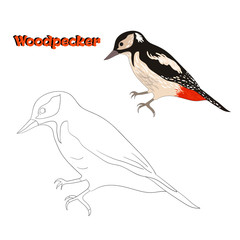 Educational game coloring book vector illustration