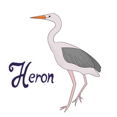Bird heron vector illustration