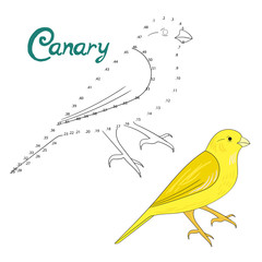 Educational game connect dots to draw canary bird