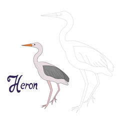 Educational game connect dots to draw heron bird