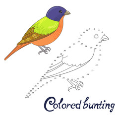 Educational game connect dots to draw bird  