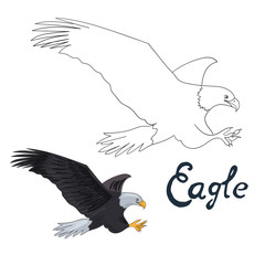 Educational game coloring book eagle bird