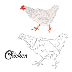 Educational game coloring book hen bird vector