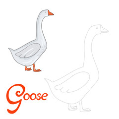 Educational game connect dots to draw goose bird