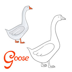 Educational game coloring book goose bird  vector