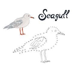 Naklejka premium Educational game connect dots to draw seagull bird