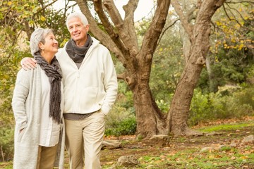 Senior couple in the park 