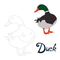Educational game connect dots to draw duck bird 