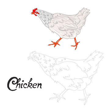 Educational game connect dots to draw hen bird