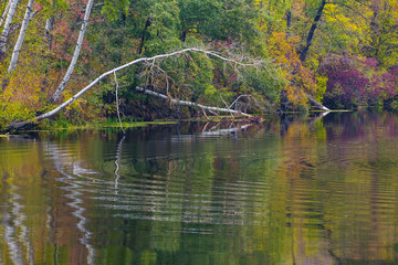 autumn river scene