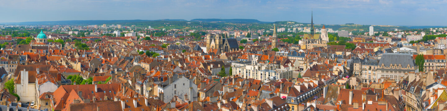 Dijon in a summer day