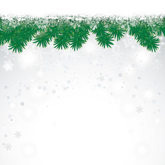 Snow Fir Twigs Bokeh