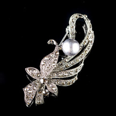 beautiful brooch on a black background