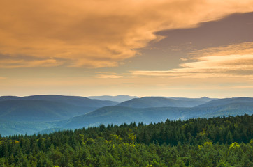 Obraz premium Sommerabend Pfälzer Wald