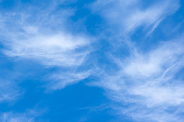 Fototapeta na wymiar the blue sky with white clouds