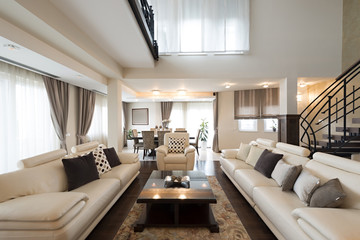 Luxury furnished living room interior