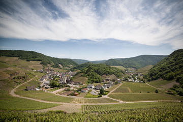 Obraz premium Viñedos en Mayschoß, Ahrweiler, Alemania