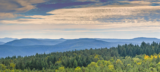 Wald und Berge Pfälzer Wald Blick