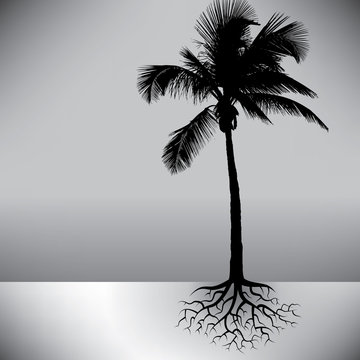 Palm tree vector background space for text
