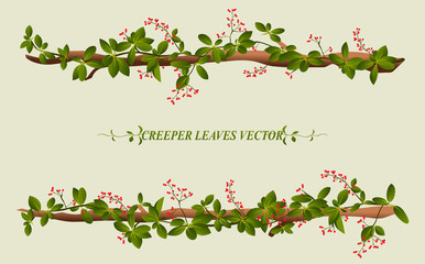 Border of creeper flower vine plant - 94055916