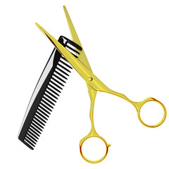 Barber scissors and comb