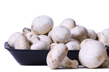 Fototapeta premium tray of mushrooms