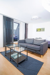 modernes Wohnzimmer in Apartment