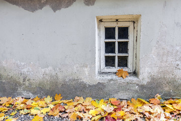 Old weathered window at autumn with a pile of yellow maple leaves on the ground