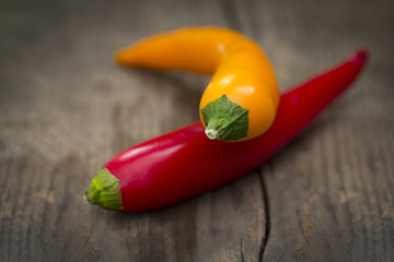 Red and Yellow Chilli