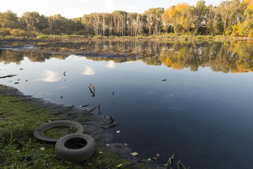 cluttered city lake