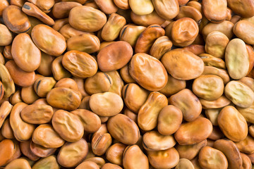 dried broad beans