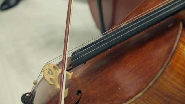 Musician Playing The Violin Bow in The Orchestra