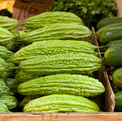 Chinese Bitter Melon