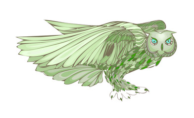 Graphic illustration of flying owl. Green